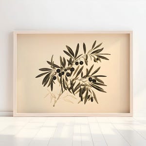 May include: A framed print of a black and white illustration of an olive branch with olives on a beige background.