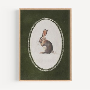 May include: A framed print featuring a watercolor illustration of a brown rabbit within an oval frame. The rabbit is depicted in a seated position against a dark green background. The frame is a light brown color.