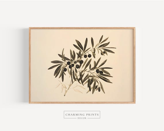 Olive Branch Art Print botanical wall art Minimalist Christian decor neutral botanical art rustic home decor olive tree art print VPS25-A1