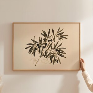 May include: A framed print of a black and white illustration of an olive branch with olives. The background is a light beige color.