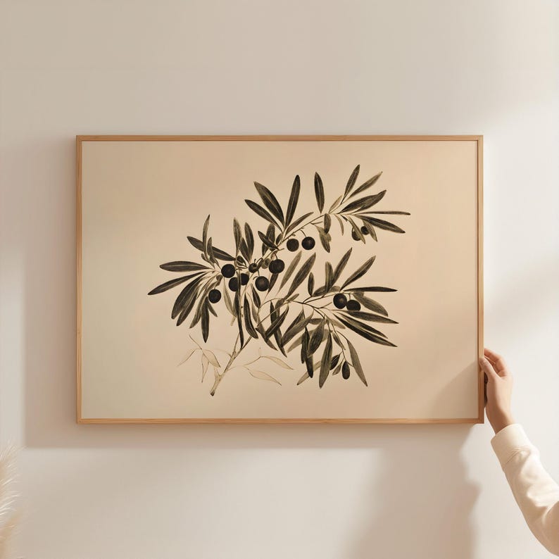 May include: A framed print of a black and white illustration of an olive branch with olives. The background is a light beige color.