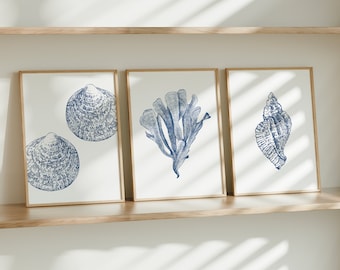 Soft Blue Beach House Wall Art Ocean Nursery Minimalist Decor Seashell Print Ocean Art Coastal Nursery Blue Art Print Coastal Decor VO1-A3
