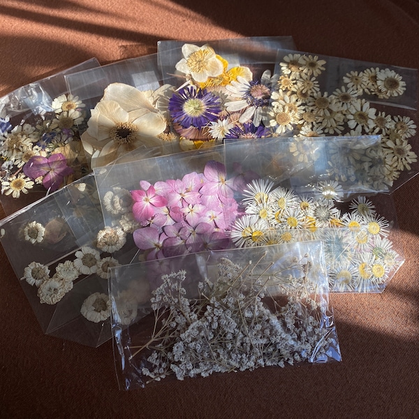 dried and pressed flowers