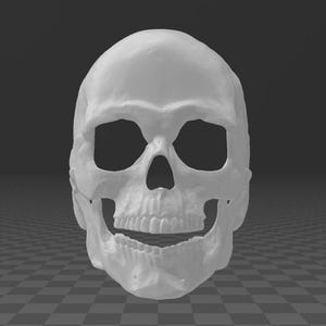 May include: A white, three-dimensional human skull model. The skull has large eye sockets, a nasal cavity, and a full set of teeth. The jaw is slightly open, and the skull is set against a checkered gray background.