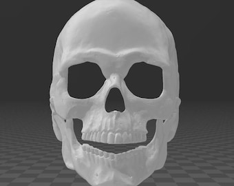skull with split lower jaw