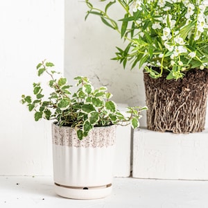 Weißer rustikaler Übertopf, Keramiktopf, Steinzeuggeschenk, Drainage-Blumentopf, Büroübertopf, Indoor-Keramikübertopf, Bauernhaus-Dekor Geschenk