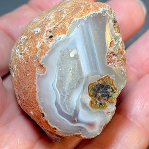 Sashe River Agate Nodule