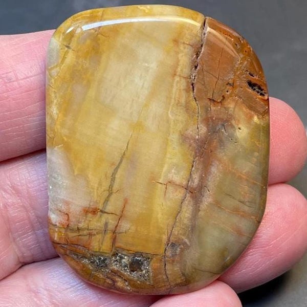 Petrified Wood Flats