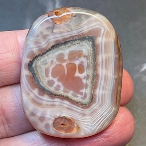 May include: Polished agate stone with a mix of colors including white, brown, and orange. The stone has a smooth, oval shape with a unique pattern of concentric bands and a central design. The stone is held in a hand.