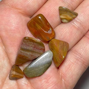 Assorted Tumbles #3 - Petrified Wood * Purple Rose Quartz * Quartz