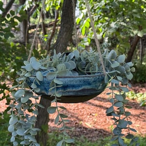 May include: A round ceramic hanging planter with a deep blue and black glazed finish, suspended by thin jute twine. The bowl contains a trailing plant with small, round, sage green leaves that drape over the sides of the dark, textured vessel.