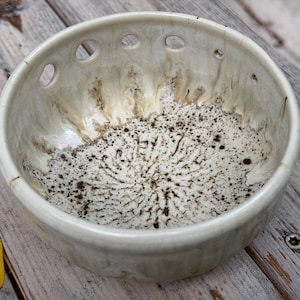 May include: A round ceramic bowl with a glossy off-white glaze and a series of small circular cutouts along the upper rim. The interior features a textured, speckled pattern with dark brown and black spots radiating from the center base.
