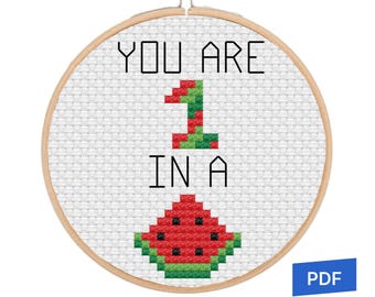 May include: A cross-stitch pattern in a wooden embroidery hoop featuring the black text YOU ARE, a pixelated number 1 in red and green, the black text IN A, and a pixelated watermelon slice graphic in red, black, and green colors.