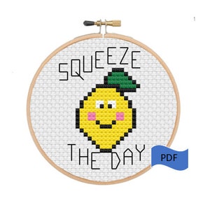 Squeeze the day cross stitch pdf pattern, beginner cross stitch pattern, punny cross stitch, fruit cross stitch, cute cross stitch