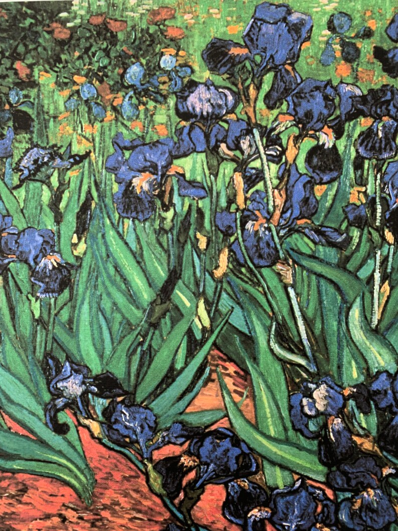 Vincent Van Gogh les Irises Lithography, Certificate, Signed, Top Wall Art Etsy