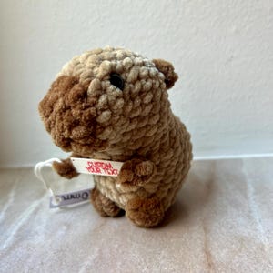 Handgefertigtes gehäkeltes Capybara-Plüschtier mit anpassbarem Text – Einzigartiges und personalisiertes Geschenk