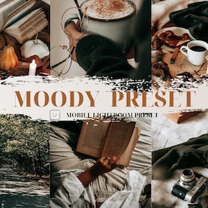 MOODY PRESET Lightroom Preset, dark gym, dark preset aesthetic preset iPhone preset instagram preset image 1