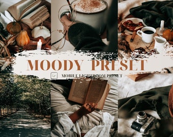 MOODY PRESET | Lightroom Preset, dark gym, dark preset | aesthetic preset | iphone preset | instagram preset