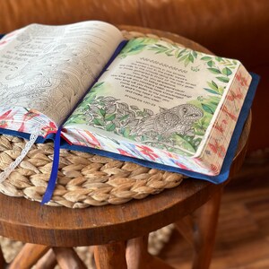 May include: An open Bible with a blue cover and patterned page edges. The right page features a black and white owl illustration surrounded by green leaves and the text: Wisdom shouts in the streets, she cries out in the public square. Proverbs 1:20-23.