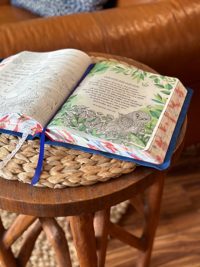 May include: An open Bible with a blue cover and patterned page edges. The right page features a black and white owl illustration surrounded by green leaves and the text: Wisdom shouts in the streets, she cries out in the public square. Proverbs 1:20-23.