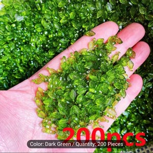 Puede incluir: Una mano sosteniendo una gran cantidad de pequeñas cuentas de plástico de color verde oscuro en forma de hojas. El texto "Color: Dark Green / Quantity: 200 Pieces" es visible en la parte inferior de la imagen.