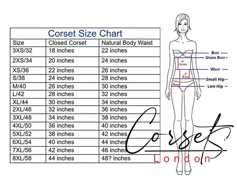May include: Corset size chart with a line drawing of a woman's body showing measurements for bust, under bust, waist, small hip, and low hip. The chart shows corset sizes from 3XS to 8XL with corresponding closed corset and natural body waist measurements in inches.