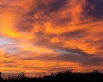 Colorful Dramatic Sunrise in the Sierra Nevada Foothills, Instant Download, Wall Art, Wall Hanging, Home Decor, Nature Photography, 15x22.5