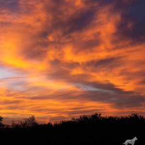 Lever de soleil spectaculaire coloré dans les contreforts de la Sierra Nevada, Téléchargement instantané, Art mural, Tenture murale, Décoration intérieure, Photographie de nature, 15x22.5