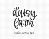 Daisy Farm, Farmhouse Font, Script Font, Wedding Fonts, Logo Fonts, Canva Font, Cricut Font, Modern Script Font, Cute Font, Cursive Font
