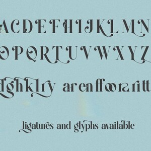 May include: A complete alphabet in a serif font, with decorative flourishes. The letters are dark gray against a light blue background. The text "ligatures and glyphs available" is at the bottom.