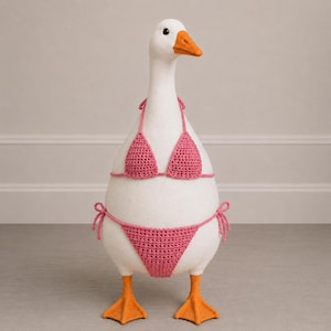 Può includere: Una statuetta di oca bianca con collo lungo, becco e zampe arancioni. L'oca indossa un bikini a due pezzi lavorato all'uncinetto di colore rosa. Il top ha spalline sottili e lo slip presenta dei laccetti laterali. La superficie è liscia.