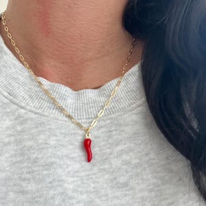 May include: A gold chain necklace with a red chilli pepper pendant.