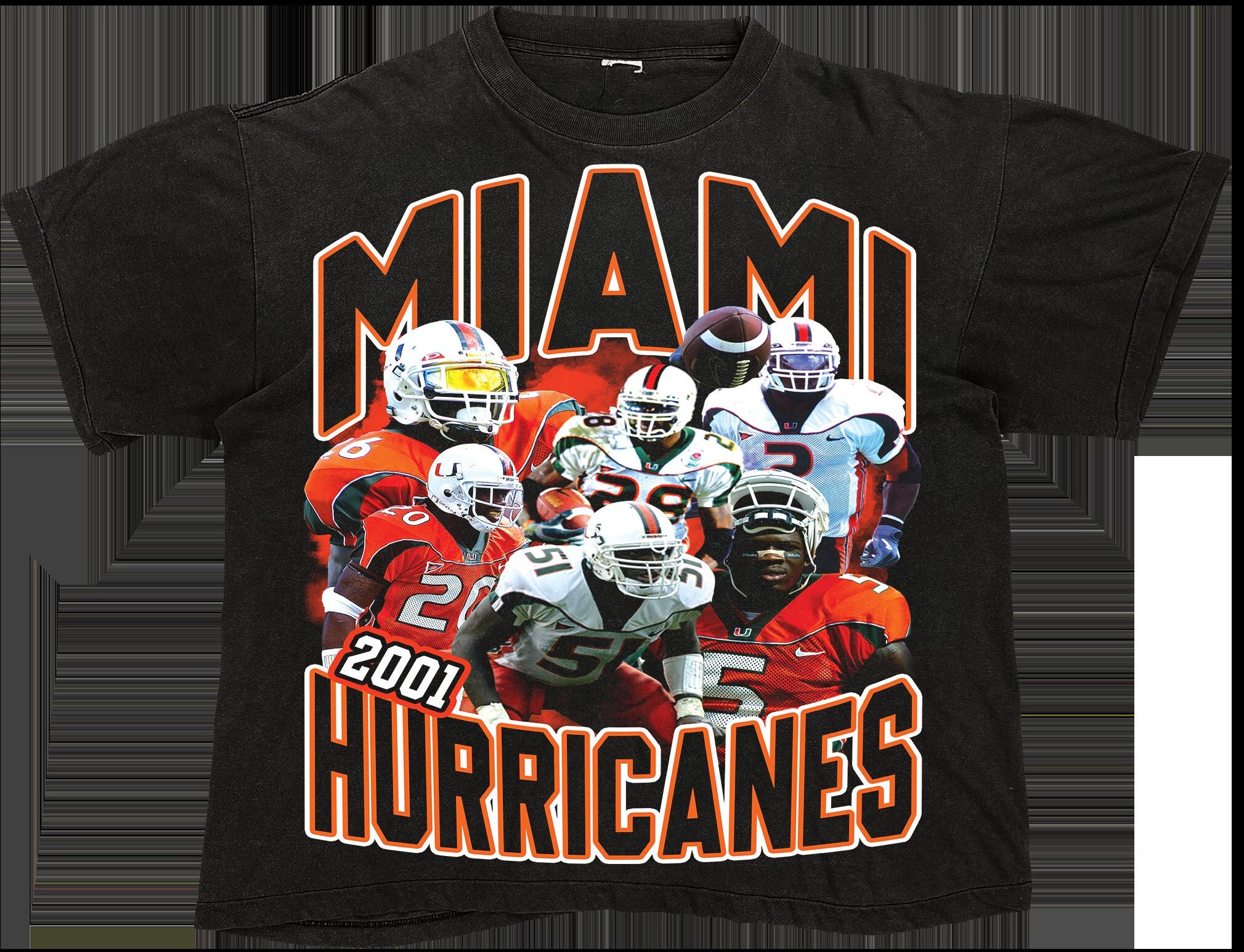 sean taylor hoodie