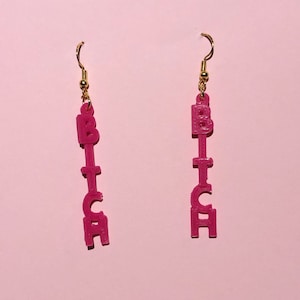 Bitch Earrings Swear Word Offensive Rude   Inappropriate Gift