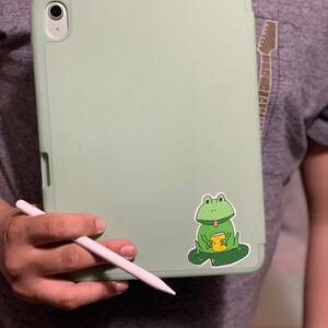 Cute Frog sicker, Froggy holding a can o’ flies