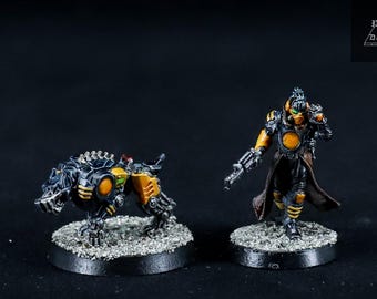 カスタムオーダー、ウォーハンマーFB/T9A/AoS、イザベラ・フォン・カー