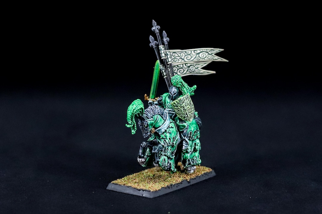 The Green Knight Kingdom of Bretonnia Pro Painted Warhammer the