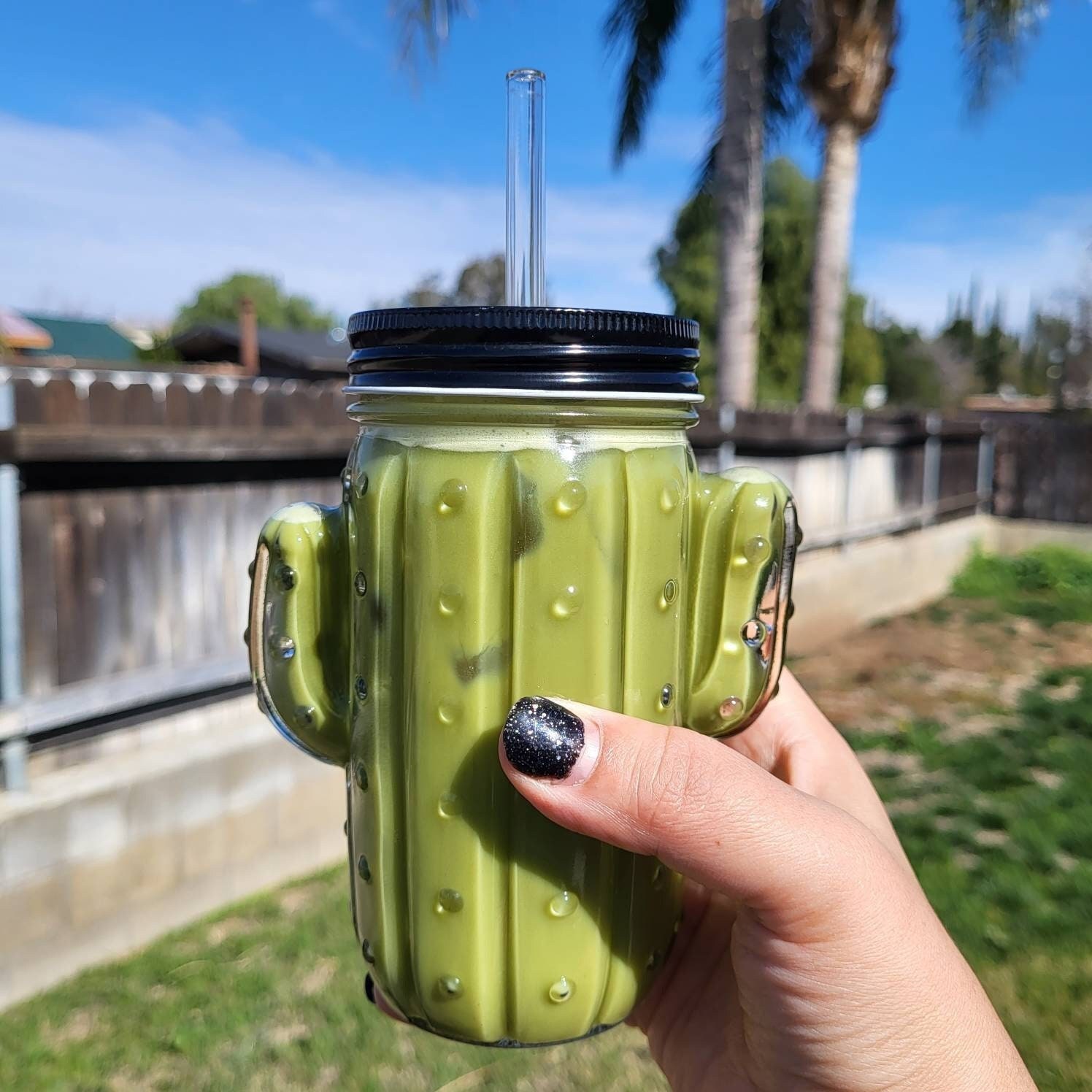 Cute Cactus Beer Can Iced Coffee Glass Cup With Lid and Straw Glass Tumbler  With Straw and Lid Iced Coffee Cup Libbey Glass glass Can 