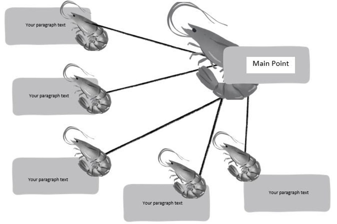 30 Unique Crazy Mind Map Designs in Powerpoint. All Designs Can Be ...