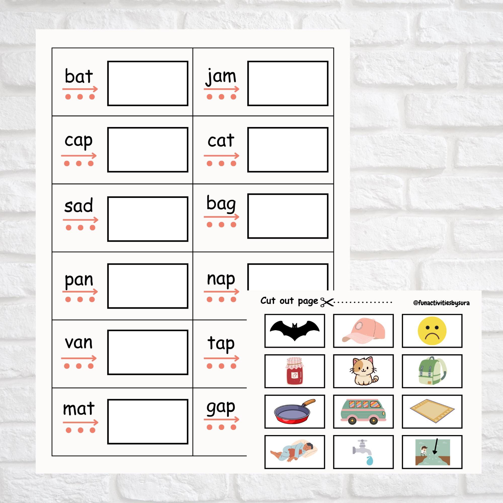 CVC Words Busy Book, Printable Flashcards, Word Lists and Activities ...