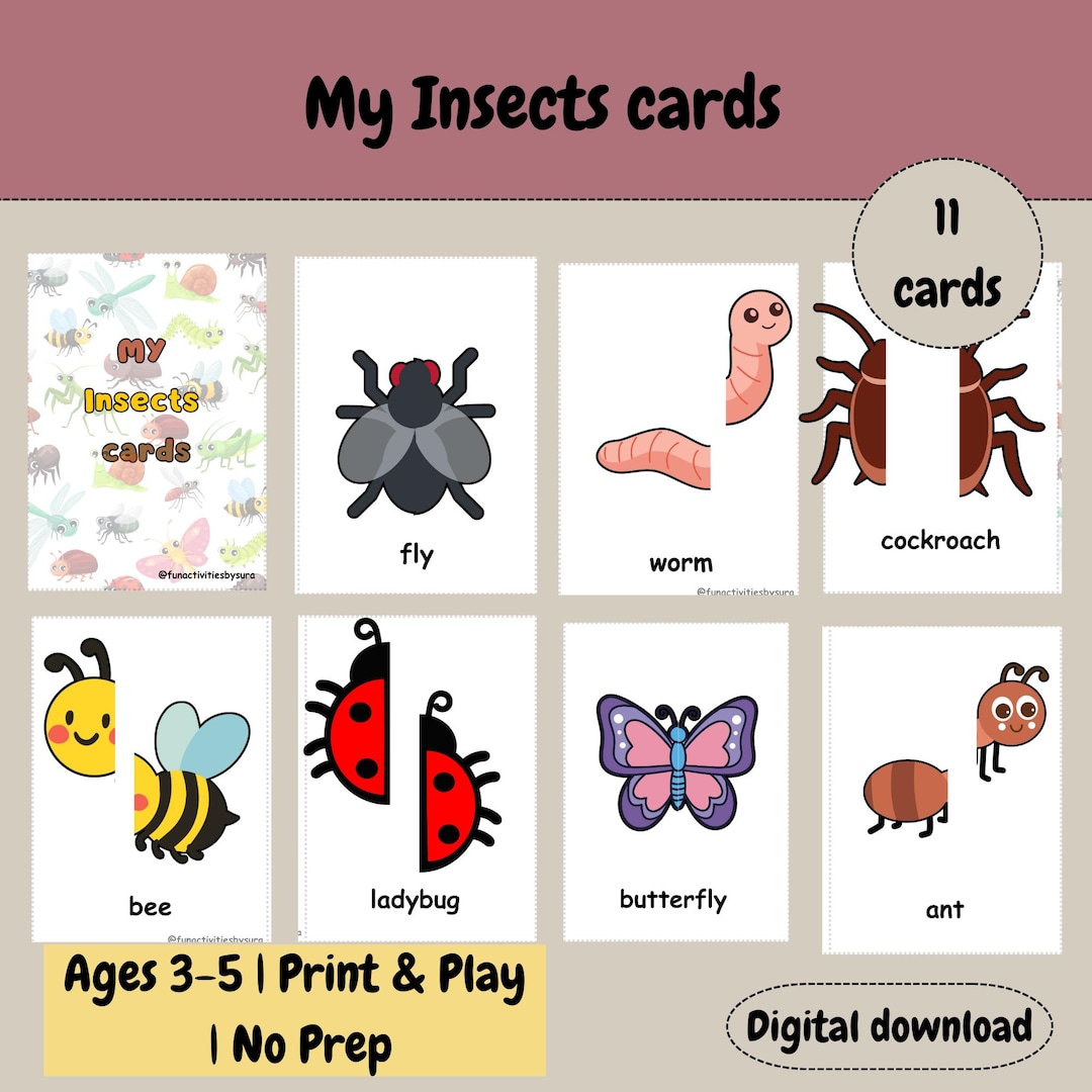 My Insects Cards: Preschool Printable Activity (digital Download ...