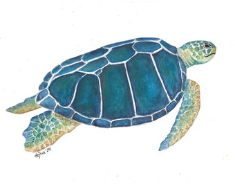 Blauwe schildpad