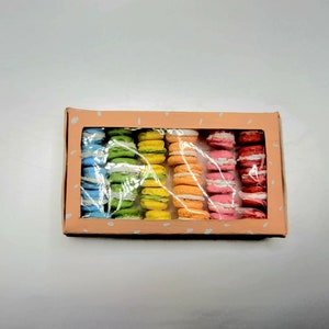 Clay food miniature of French Macarons