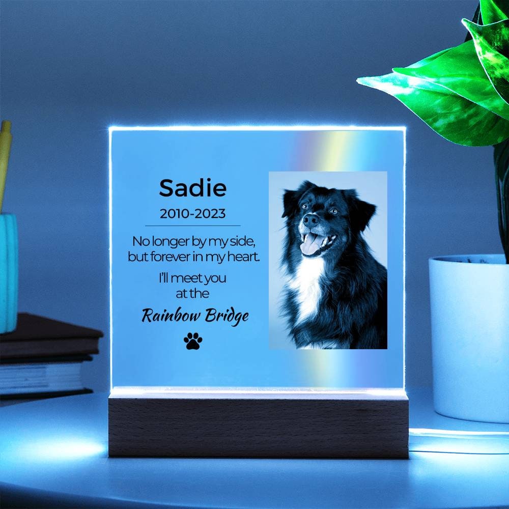 Light up Pet Memorial Plaque Personalized Gifts for Pet Loss Dog Loss