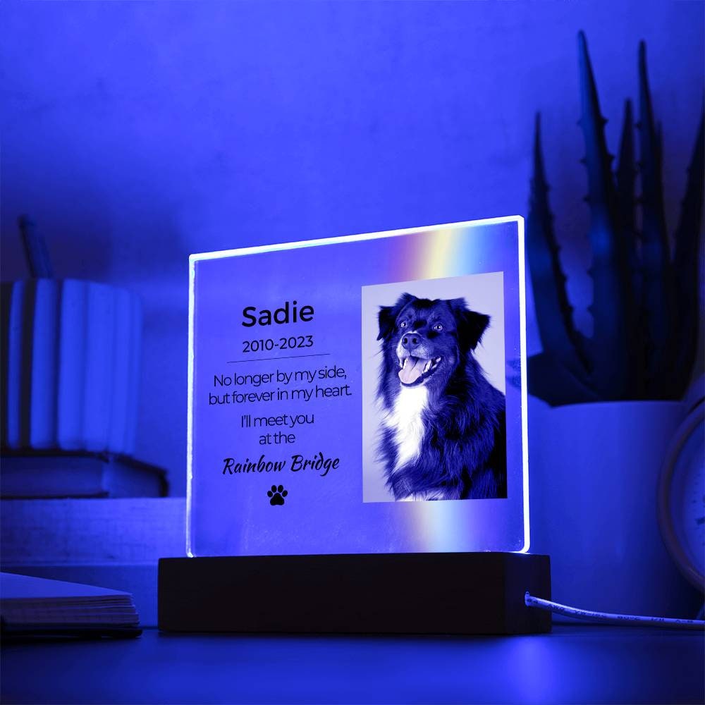 Light up Pet Memorial Plaque Personalized Gifts for Pet Loss Dog Loss
