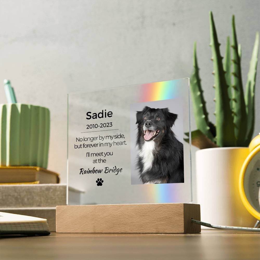 Light up Pet Memorial Plaque Personalized Gifts for Pet Loss Dog Loss ...