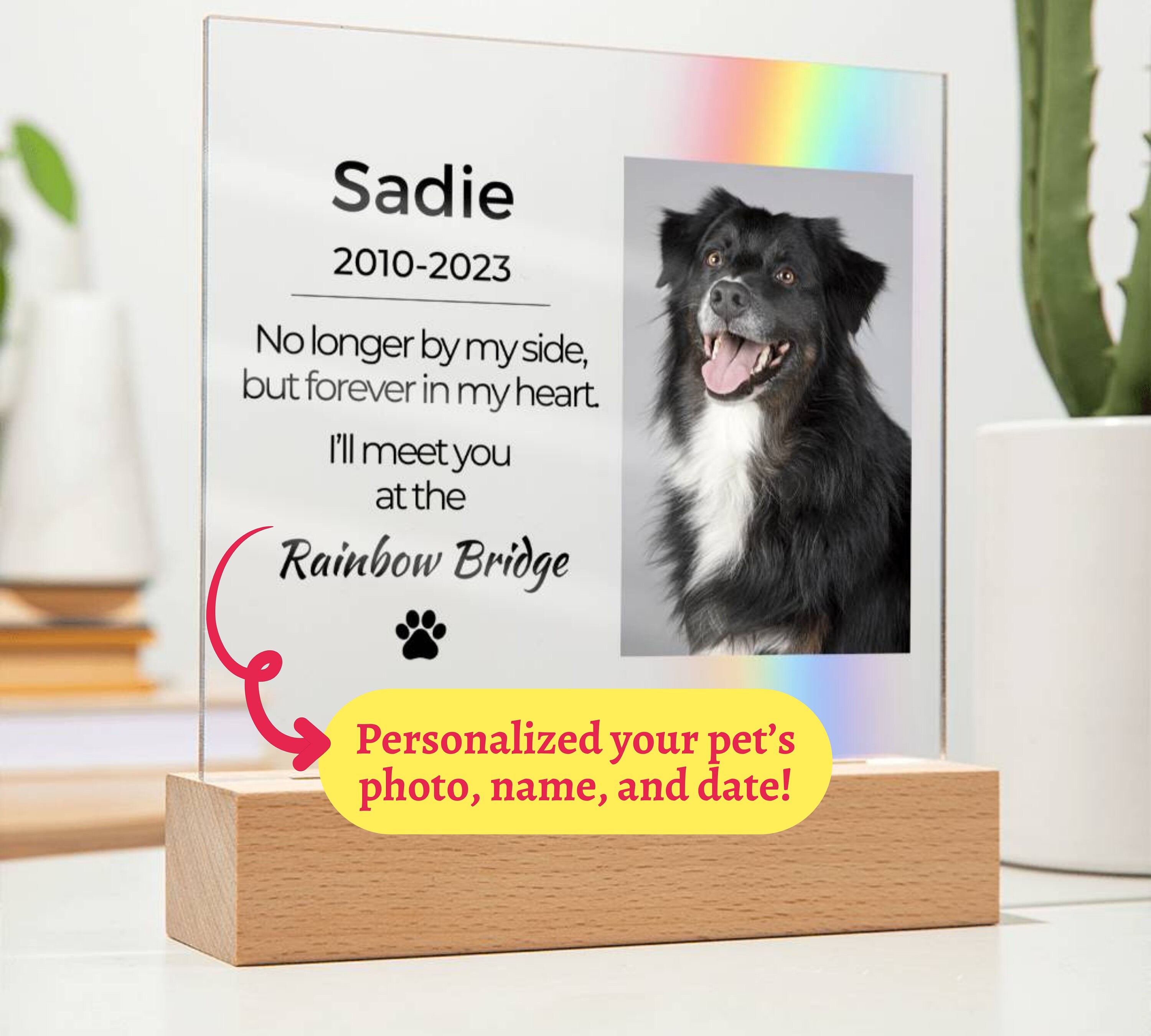 Light up Pet Memorial Plaque Personalized Gifts for Pet Loss Dog Loss ...