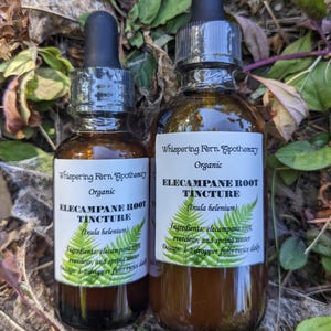 Elecampane Root tincture, alcohol extract, herbal liquid