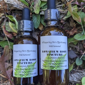 Lomatium Root tincture, fern leaf biscuit root, herbal liquid, herbal extract, wild harvested