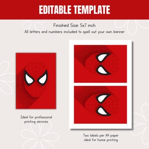 Spiderman Bunting Flag Banner, Spiderman Party Banner, Happy Birthday Banner Bunting Flags 035 image 2